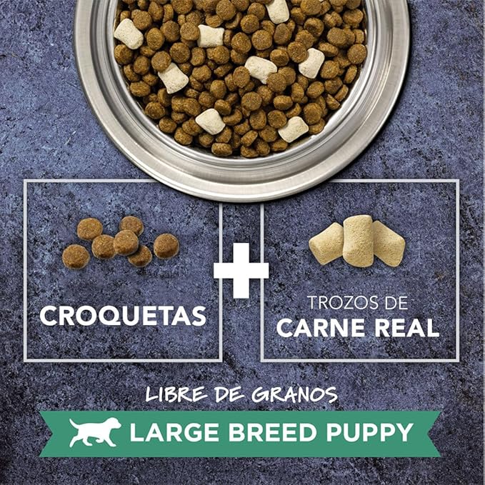 Instinct Raw Boost Large Breed Puppy Grain Free Recipe with Real Chicken Natural Dry Dog Food, 20 lb. Bag