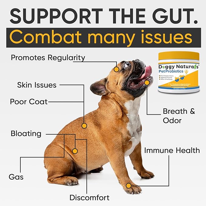 Probiotics for Dogs and Cats - Advanced Max-Strength Digestive Health, Increase & Maintain Proper Gut Flora- All Natural Probiotics Powder - (Made in USA) 7.4 Oz (6 Billion CFU Per Scoop)