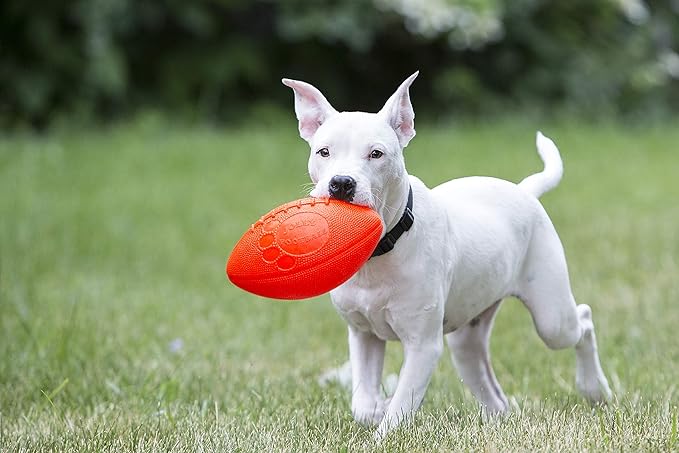 Jolly Pets Football Dog Toy, 8 Inches, Orange