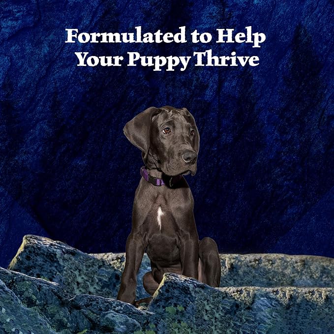 Blue Buffalo Wilderness High Protein, Natural Puppy Wet Dog Food, Turkey & Chicken Grill 12.5-oz cans (Pack of 12)
