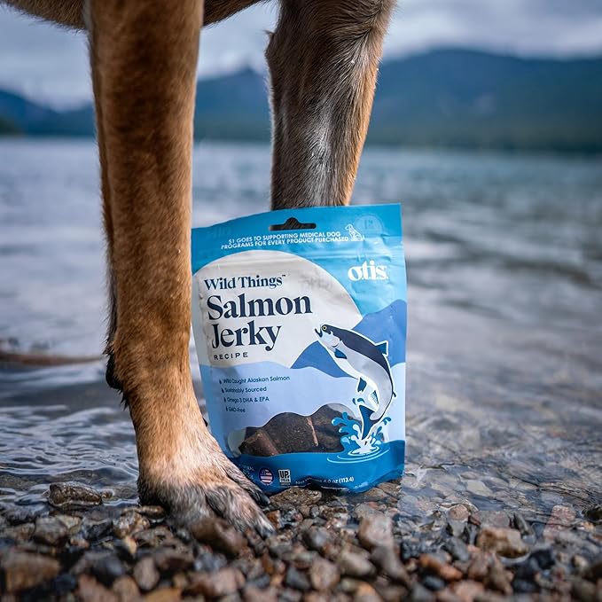 OTIS Alaskan Salmon Jerky for Dogs | Salmon Jerky Recipe - Protein Packed, Ethically-Sourced Sustainable Healthy Dog Treats - with DHA and EPA Healthy Dog Jerky Treat | 4 oz