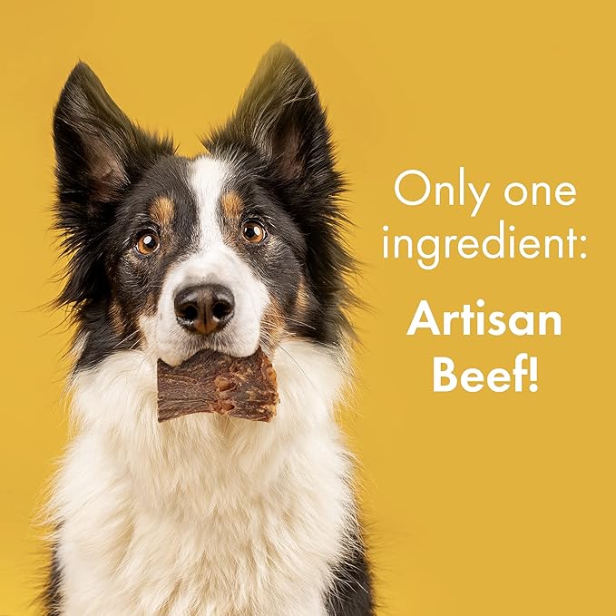 Visionary Pet Foods - Organic Beef Jerky Dog Treats | Grain Free, Healthy and Natural Pet Snacks | Training Treats or Chewable Dental Dog Snack for Small, Medium or Large Breeds 10oz Bag, 248g