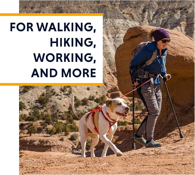 Ruffwear, Web Master, Multi-Use Support Dog Harness, Hiking and Trail Running, Service and Working, Everyday Wear, Purple Rain, Large/X-Large
