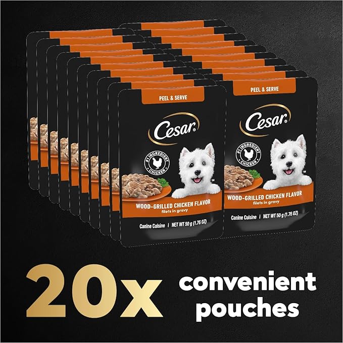 Cesar Filets in Gravy Wet Dog Food Wood-Grilled Chicken Flavor, 1.76 oz. Mini-Pouch, 20 Pack