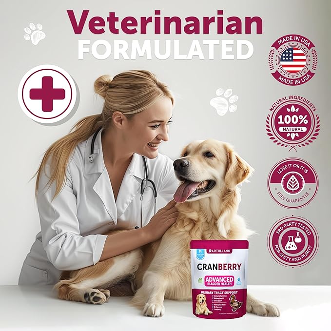 Dog UTI Treatment - Cranberry Supplement for Dogs - Bladder Control for Dogs - Dog Urinary Tract Infection Treatment - UTI Medicine for Dogs - Dog Cranberry Supplement - Kidney Support - 70 Chews