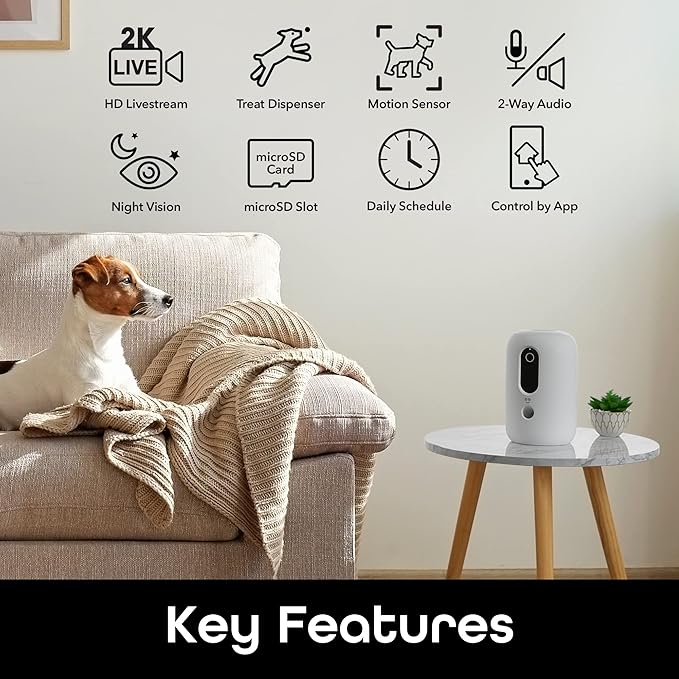 Geeni PetConnect Treat + Cam, Smart Treat Dispenser with Smart Home Pet Camera, Timer & Voice, Automatic Dog or Cat Feeder, Compatible with Alexa & Google