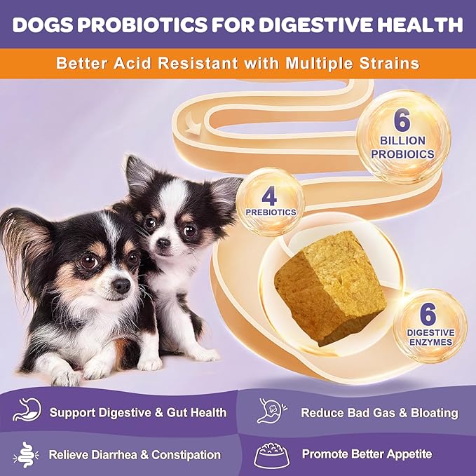 Probiotics for Dogs, 6 Billion CFUs, Freeze Dried Dog Probiotics with Prebiotics and Digestive Enzymes, Vitamins and Omega 3, for Gut & Skin & Immune Health, Allergy Itch Relief, Reduce Diarrhea, Gas