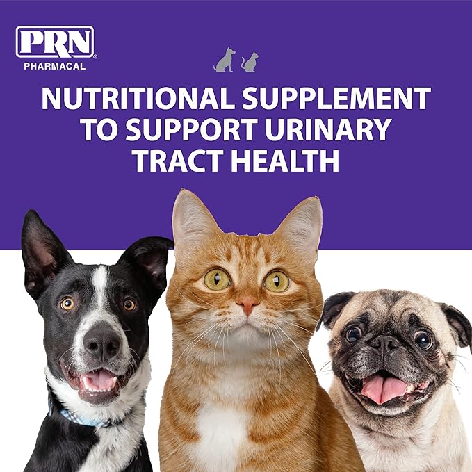 PRN Pharmacal CranMate Cranberry Supplement - Chewable Cranberry Extract Nutritional Supplements for Dogs & Cats - Cranberry Urinary Tract Health - 60 Chew Tabs (3 Pack)