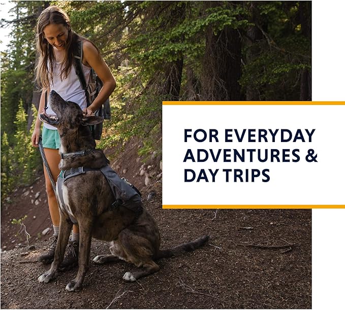 Ruffwear, Switchbak Dog Harness, Pack & Harness Hybrid for Day Trips & Everyday Use, Granite Gray, X-Small
