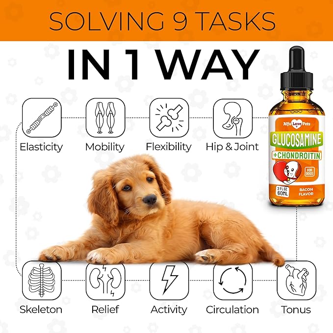 Glucosamine for Dogs Liquid ✿ Hip and Joint Supplement Dogs Liquid ✿ Dog Joint Supplement Liquid ✿ Glucosamine for Small Dogs ✿ Liquid Glucosamine for Dogs ✿ Bacon Flavor ✿ 2 Oz