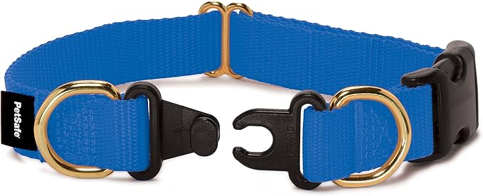 Petsafe KeepSafe Break-Away Collar, Prevent Collar Accidents for your Dog or Puppy, Improve Safety, Compatible with Lead Use, Adjustable Sizes,Royal Blue