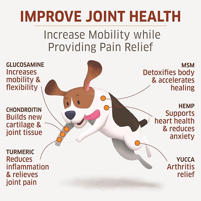 Hip and Joint Supplement for Dogs - Glucosamine for Dogs Soft Chews 120 ct - Glucosamine Chondroitin for Dogs with MSM, Hemp, Turmeric & Omega 3 - Dog Pain Relief