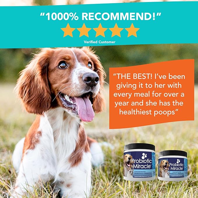 Probiotics for Dogs -(360 Scoops)-Probiotic Miracle -Advanced, Species Specific Probiotics and Prebiotics to Stop Diarrhea, Loose Stool, and Yeast-Plus Immune Support