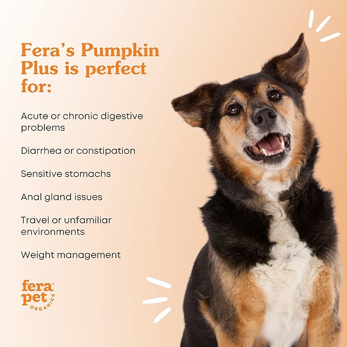 Fera Pets Pumpkin Plus Fiber Supplement for Pets - Vet Created - Dog & Cat Regularity & Gut Function - Organic Pumpkin Seeds, Flax Seeds - 90 Scoops