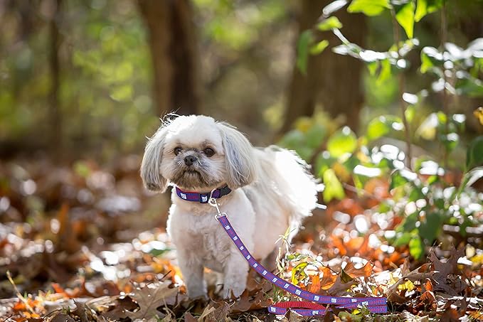 Pets First NFL Pet Leash, New York Giants, Medium