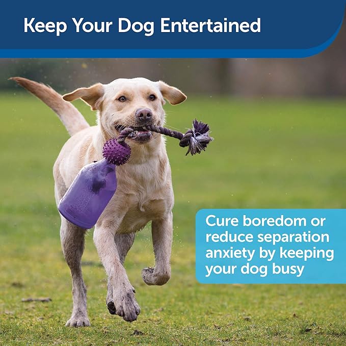PetSafe Busy Buddy Tug-A-Jug - Treat-Dispensing Dog Toy - Slow Down Eating - 2 Cup Capacity - Lower Separation Anxiety - Cleans Teeth - Easy to Wash - Multi-Sensory Stimulation - Purple, M/L
