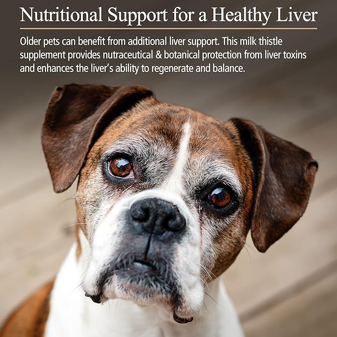 Rx Vitamins Hepato Support for Dogs & Cats - Milk Thistle Supplement for Pets - 100mg Milk Thistle for Healthy Liver Function - Silymarin Capsules for Pets - 180 ct.