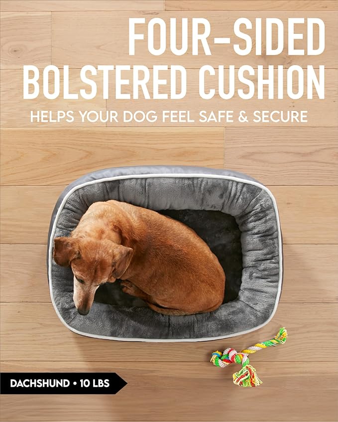 Orthopedic Dog Bed for Small Dogs, Dog Couch Design with Egg Foam Support, Removable, Machine Washable Plush Cover and Non-Slip Bottom with Four Sided Bolster Cushion (Gray)