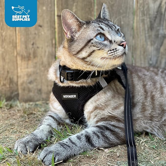 Voyager Step-in Air Dog Harness - All Weather Mesh Step in Vest Harness for Small and Medium Dogs by Best Pet Supplies - Red Trim, XS