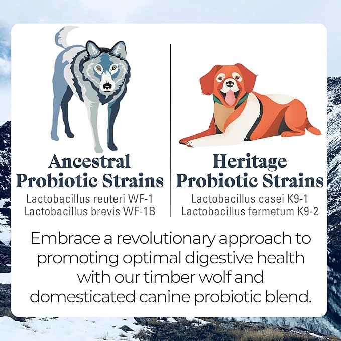 OTIS Digestive Health for Dogs | Ancenstrial and Heritage Probiotics - Intestinal Gut Health Support with DHA and EPA | Healthy Dog Supplements | 8 fl oz, Salmon oil