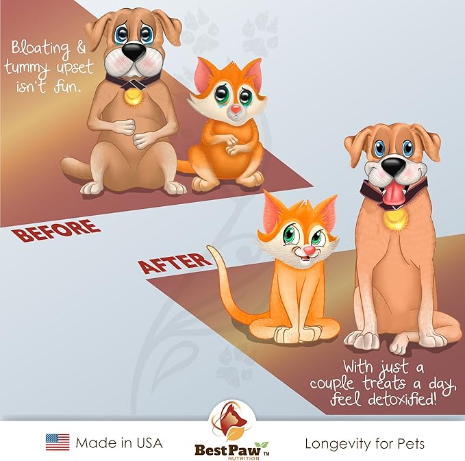 Probiotics for Dogs & Cats with Prebiotics & Digestive Enzymes Best for Gas Diarrhea UTI & Yeast Infection Relief Grain Free Powder Supplement Organic Coconut Oil Pumpkin & Turmeric Made in The USA