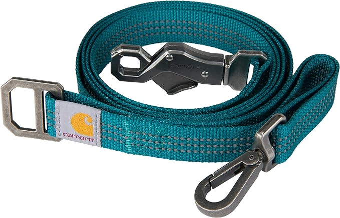 Carhartt Pet Durable Nylon Webbing Leashes for Dogs, Reflective Stitching for Visibility, Shaded Spruce, Large