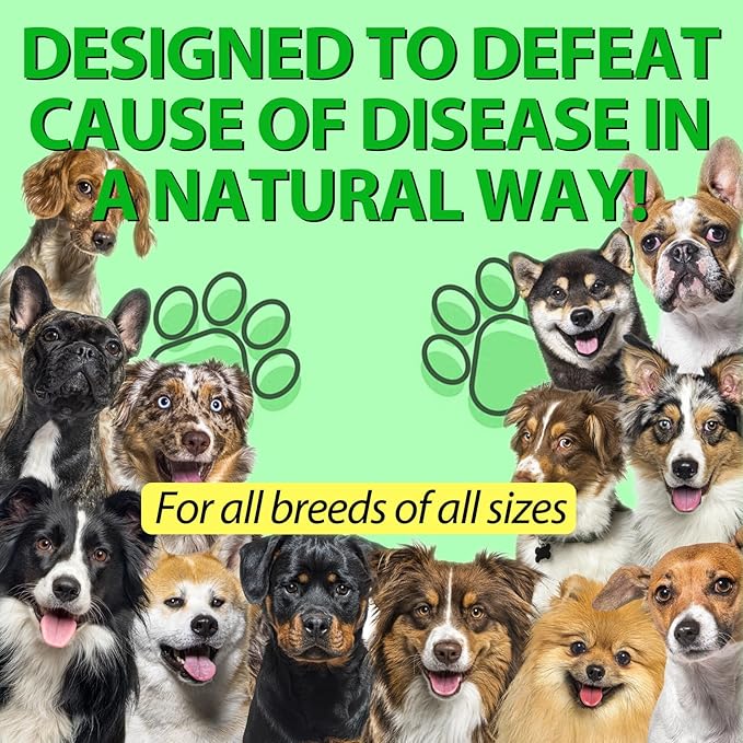 Natural Antibiotics for Dogs, Dog Antibiotics Natural Herbal Supplement, Dog Multivitamin Bacon Flavor-2 Fl Oz