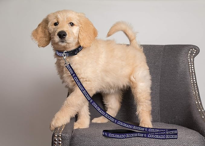 MLB PET Leash, Medium, Colorado Rockies Dog Leash, Baseball Team Leash for Dogs & Cats. A Shiny & Colorful Dog & Cat Leash with Emboridered Team Name/Logo Licensed by the MLB