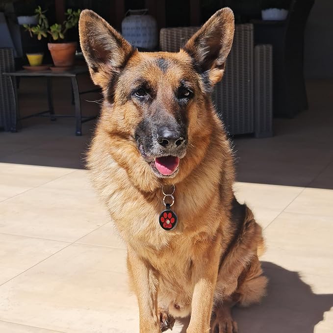 MYLUCKYTAG QR Code Pet ID Tags Dog Tags - Pet Online Profile - Scan QR Receive Instant Pet Location Alert Email