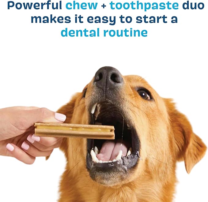 Bark Bright Original Dental Kit - Dog Tooth Brushing Treatment with Teeth Cleaning Chew Sticks & Toothpaste - Plaque & Tartar Remover for Cleaner Teeth & Fresh Breath - Small Breeds - 30 Chews