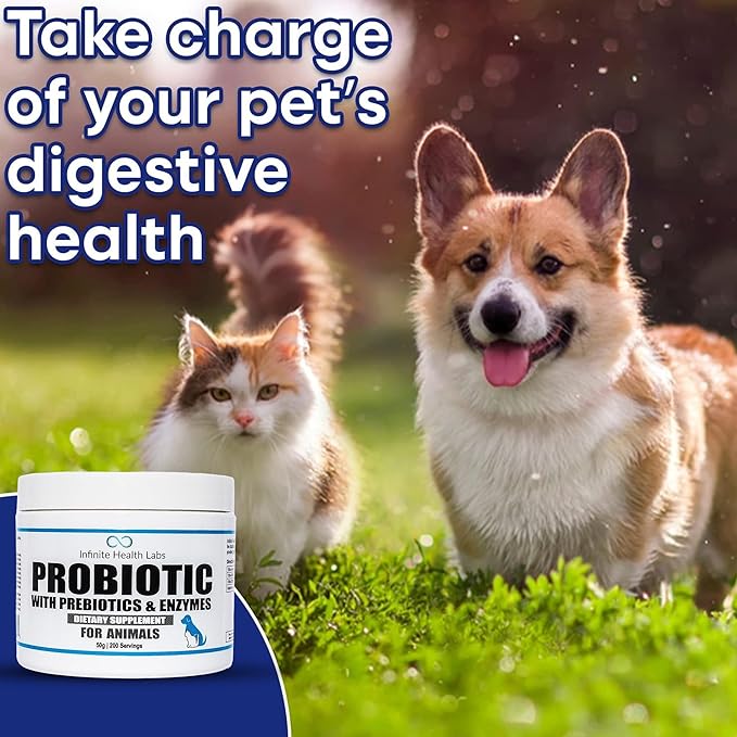 Probiotics for Dogs and Cats - Vet Formulated Pet Prebiotic & Enzyme Powder for Digestive, Gut & Immune Health - 200 Servings (50 g)