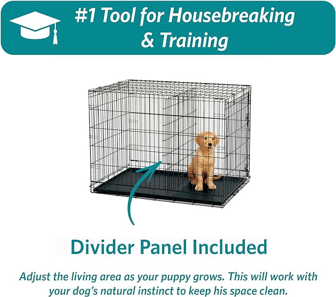 MidWest Homes for Pets Newly Enhanced Double Door iCrate Dog Crate, Includes Leak-Proof Pan, Floor Protecting Feet, Divider Panel & New Patented Features