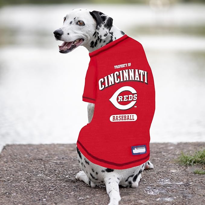 MLB Cincinnati Reds Dog T-Shirt, Small. - Licensed Shirt for Pets Team Colored with Team Logos. - Premium Stretchable Materials for The Comfort of Your Dog & cat.