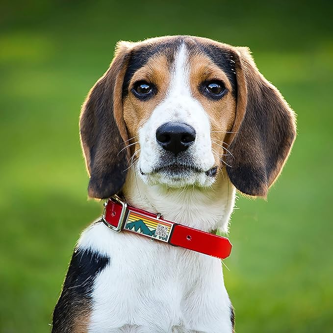 QR Code Dog Tag,Silent Dog Tags Personalized for Pets, Slide On Dog Tag,Custom Dog Name ID Tags Personalized Noiseless Dog and Cat Tags-Free Online&Scan QR Receive Instant Location Alert Email