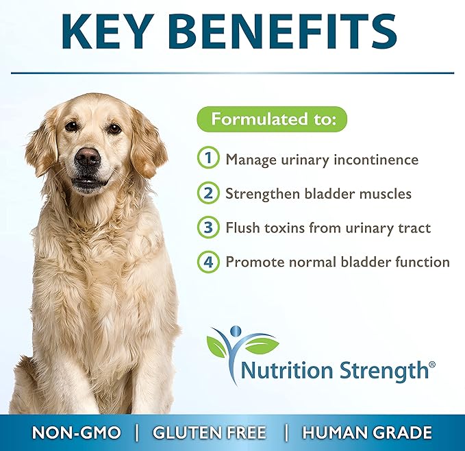 Dog Incontinence Support, Extra Strength Supplement for Dog Bladder Health, Organic Support for Dogs Leaking Urine, Promotes Dog Bladder Control, 30 Soft Chews