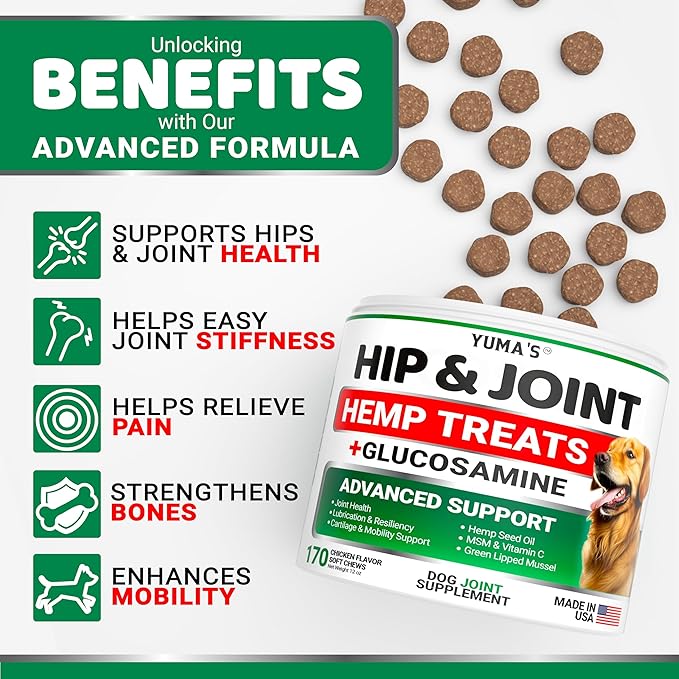 YUMA'S Hemp Hip and Joint Supplement for Dogs - Glucosamine for Dogs - 170 Dog Joint Pain Relief Chews - Chondroitin, MSM - Hemp Oil - Advanced Dog Joint Supplement Health - Mobility Support Treats