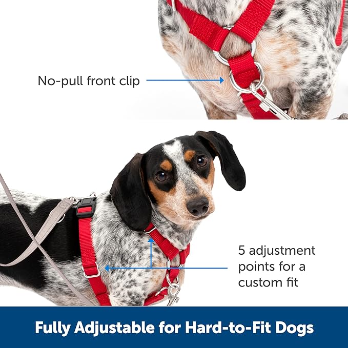 PetSafe Sure-Fit Harness – Five Point Adjustable Dog Harness – from The Makers of The Easy Walk Harness – Medium, Black