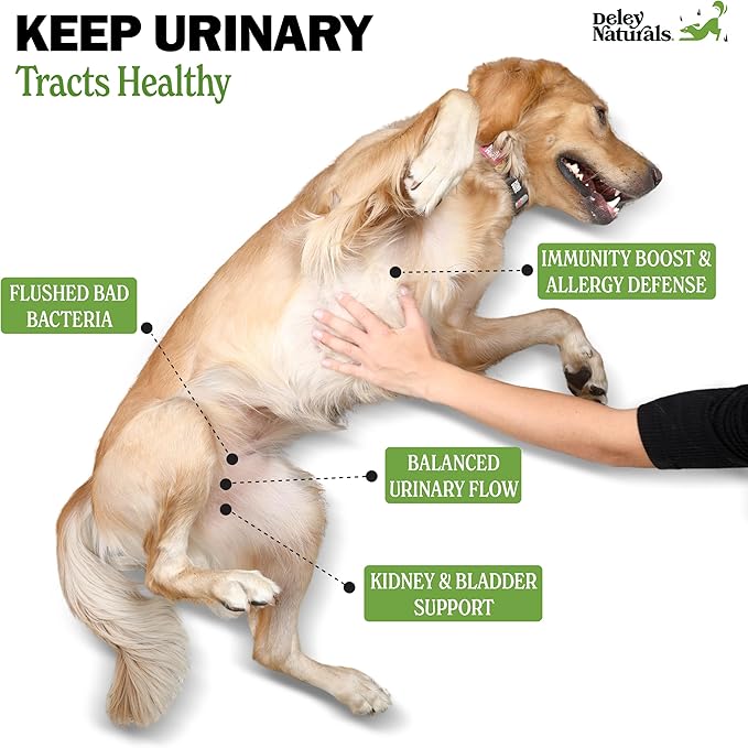 Deley Naturals Dog UTI Prevention - 120 Grain Free Soft Chews - Incontinence, Bladder, Kidney & Immune System Support - Cranberry Pills - D-Mannose & Echinacea - Made in USA - Natural Chicken Flavor