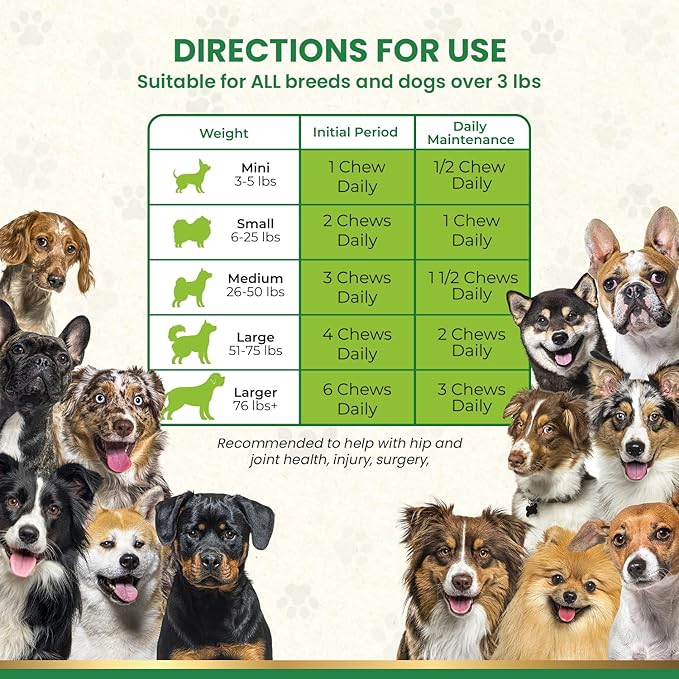 Zen Pet Nutrients WoundVite Hip and Joint Chews for Dogs - Dog Hip and Joint Supplement with Glucosamine Chondroitin, Hyaluronic Acid and MSM for Dog Surgery, Recovery and Joint Relief