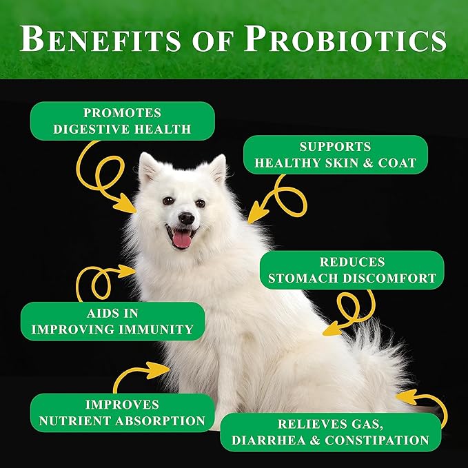 Probiotics for Dogs | All-Natural Dog Probiotic Supplement with Enzymes, Prebiotics, Pumpkin | Promote Digestive Health, Improve Allergy & Immunity, 270 Count (Pack of 3 x 90 ct)