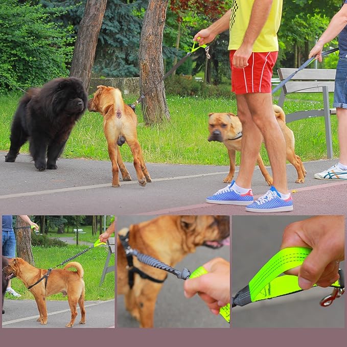 Hands Free Bungee Leash + Dual Dog Leash Coupler Kit Multifunctional + Retractable Traffic Jogging Hiking Leash & Reflective Pet Leash • Adjustable Body System + Padded Handles • Take Yankee