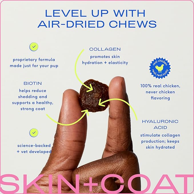 Native Pet Skin and Coat Chews for Dogs - Made with Wild-Caught Salmon Oil for Dogs Skin and Coat - Omega 3 for Dogs - Dog Shedding Supplement and Dog Hair Loss Treatment (60 Chews)
