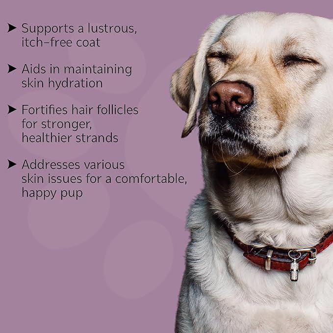 Dog Skin & Coat Supplement Chews - Skin Health Chewable Supplement for All Ages & Breeds - Promotes Healthy Skin & Lustrous Coat - Rich in Omega Fatty Acids & Vitamins – 60 Chews
