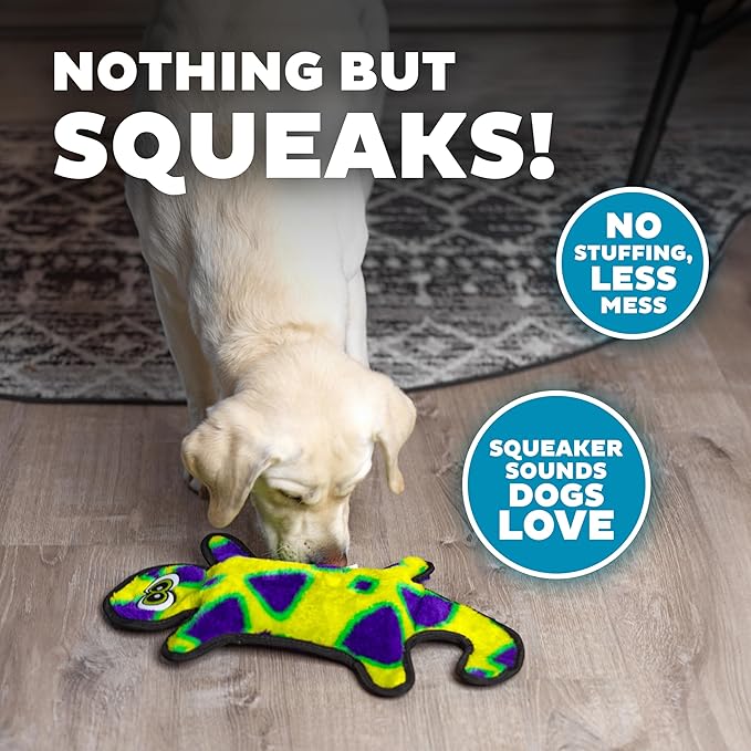 Outward Hound Durablez Tough Plush Squeaky Dog Toy, Gecko, Green, Large