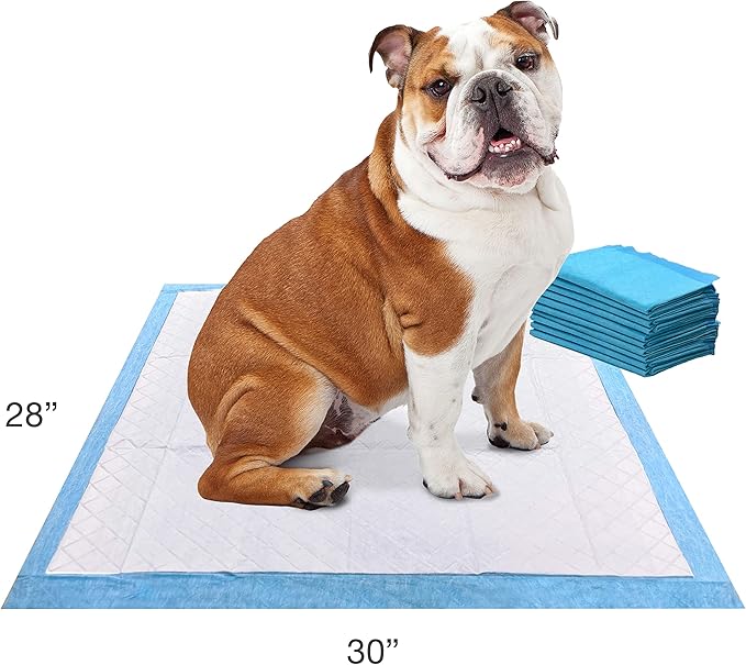 Four Paws Wee-Wee Odor Control with Febreze Freshness Pee Pads for Dogs of All Sizes, Leak-Proof Floor Protection Dog & Puppy Quilted Potty Training Pads, Spring Fresh Scent, 22" x 23" (10 Count)