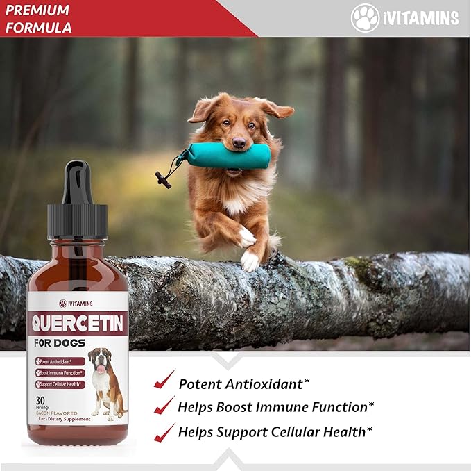 Quercetin for Dogs | Dog Allergy Relief | Quercetin for Dogs Allergies | Dog Allergy | Quercetin | Dog Allergy Support | Quercetin Dog | Dog Allergies | Quercetin Supplements | Bacon Flavor (1 Pack)