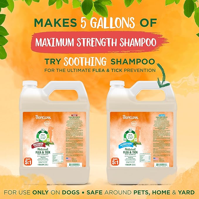 TropiClean Maximum Strength Natural Flea and Tick Dog Shampoo | Natural Flea and Tick Prevention for Dogs | Made in the USA | 1 gallon