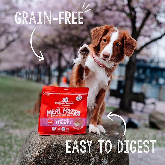 Stella & Chewy's Freeze Dried Raw Tantalizing Turkey Meal Mixer – Dog Food Topper for Small & Large Breeds – Grain Free, Protein Rich Recipe – 35 oz Bag