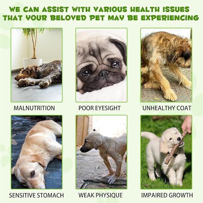 Probiotics for Dogs,3-in-1 Dog Probiotics,Dog Probiotics for Digestive Support, Dog Probiotic Supplements,Pet Probiotics for Dogs, Liquid Probiotics for Dogs | 2 Oz