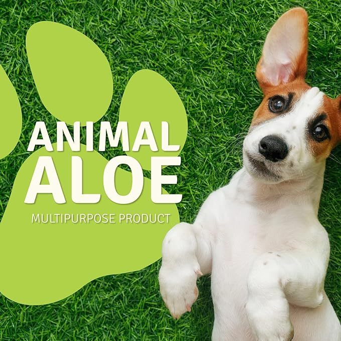 Aloe Life - Animal Aloe, Pet-Safe Digestive Aid & Skin Treatment Gel, Helps to Soothe Hotspots, Flea Bites & Irritation, Supports Your Pet’s Digestive Health & Overall Wellness, Fragrance-Free (4 oz)